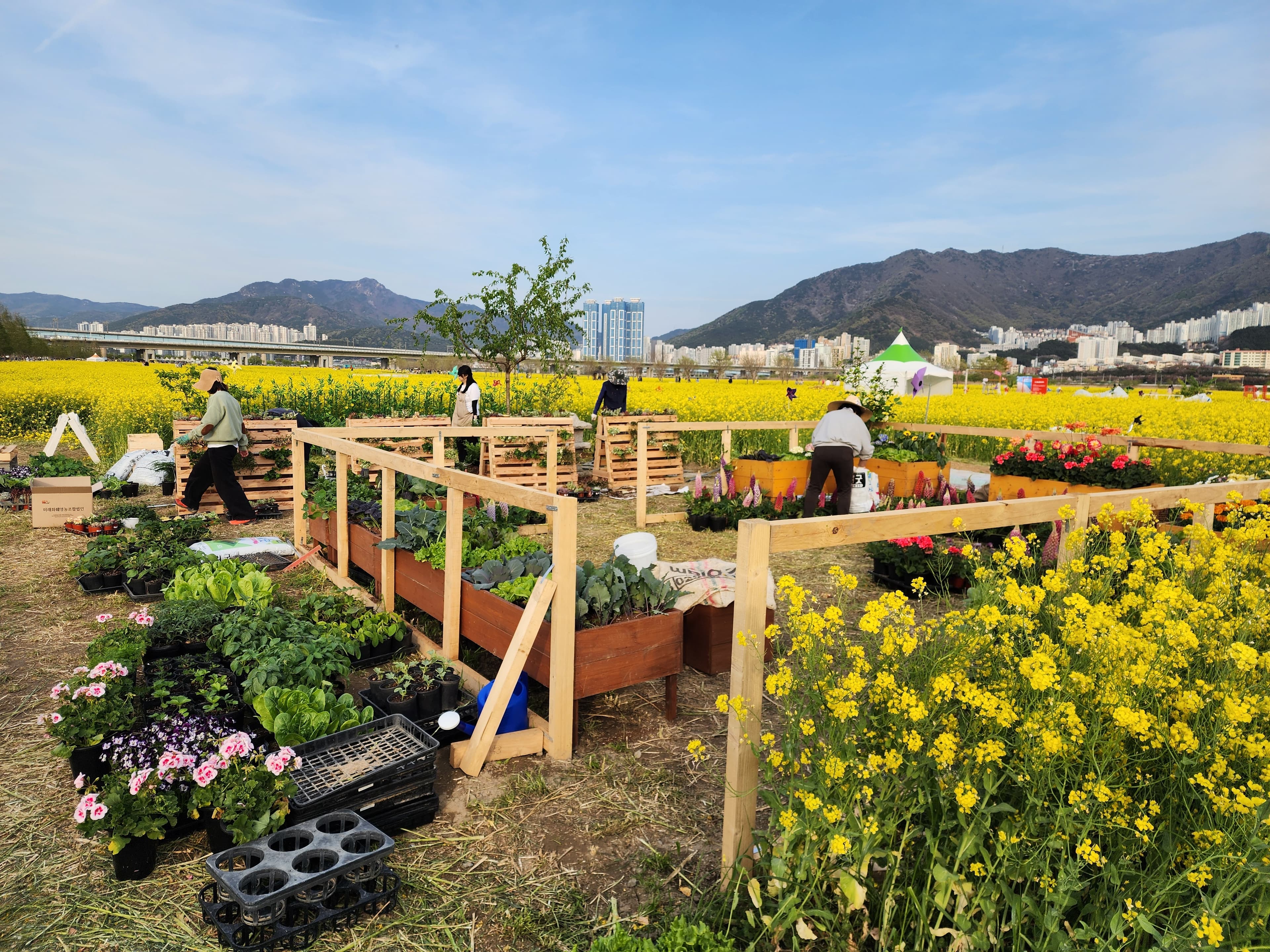 주민과 함께하는 김장 나눔