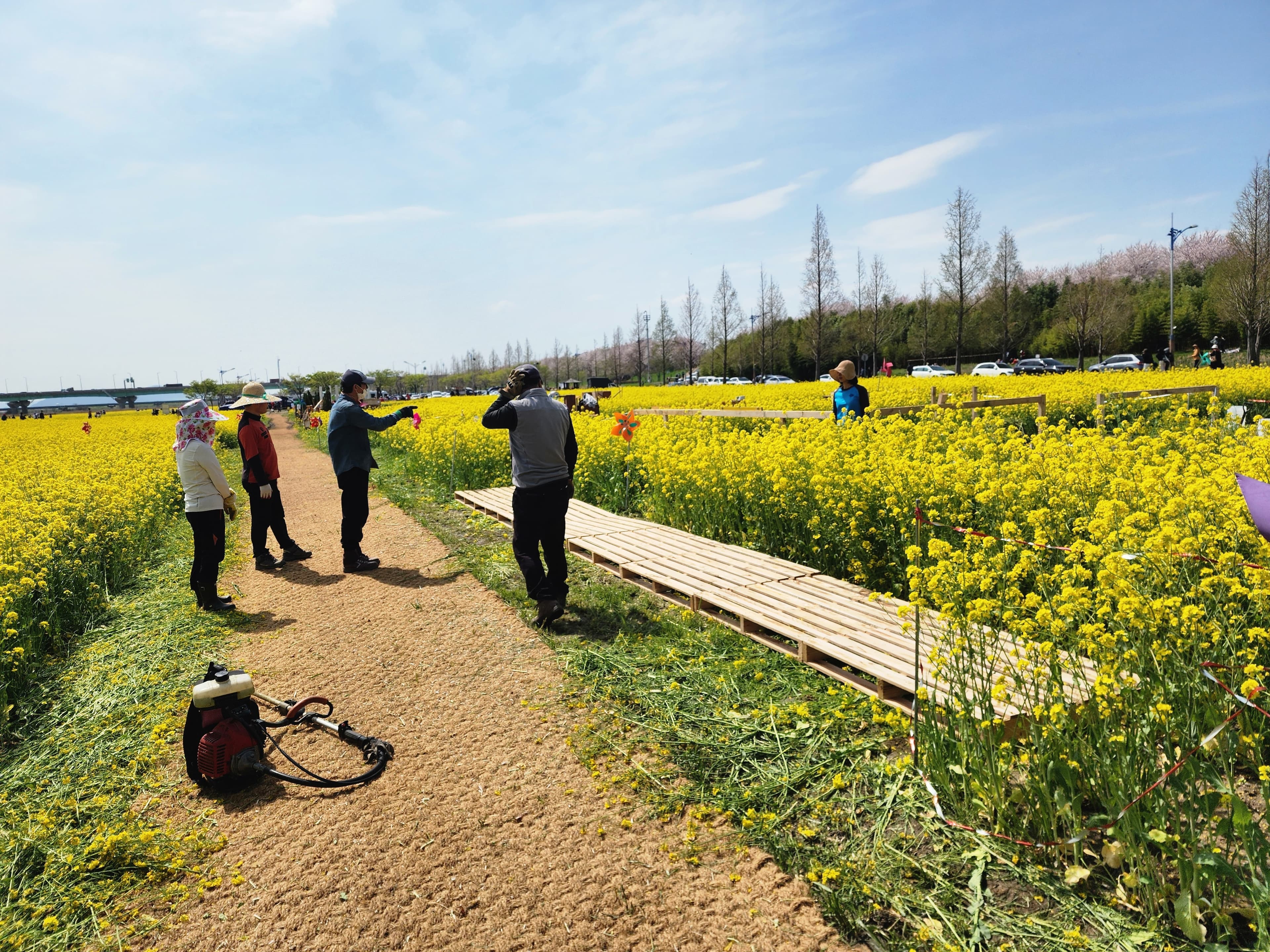 가을 수확제 및 팜파티