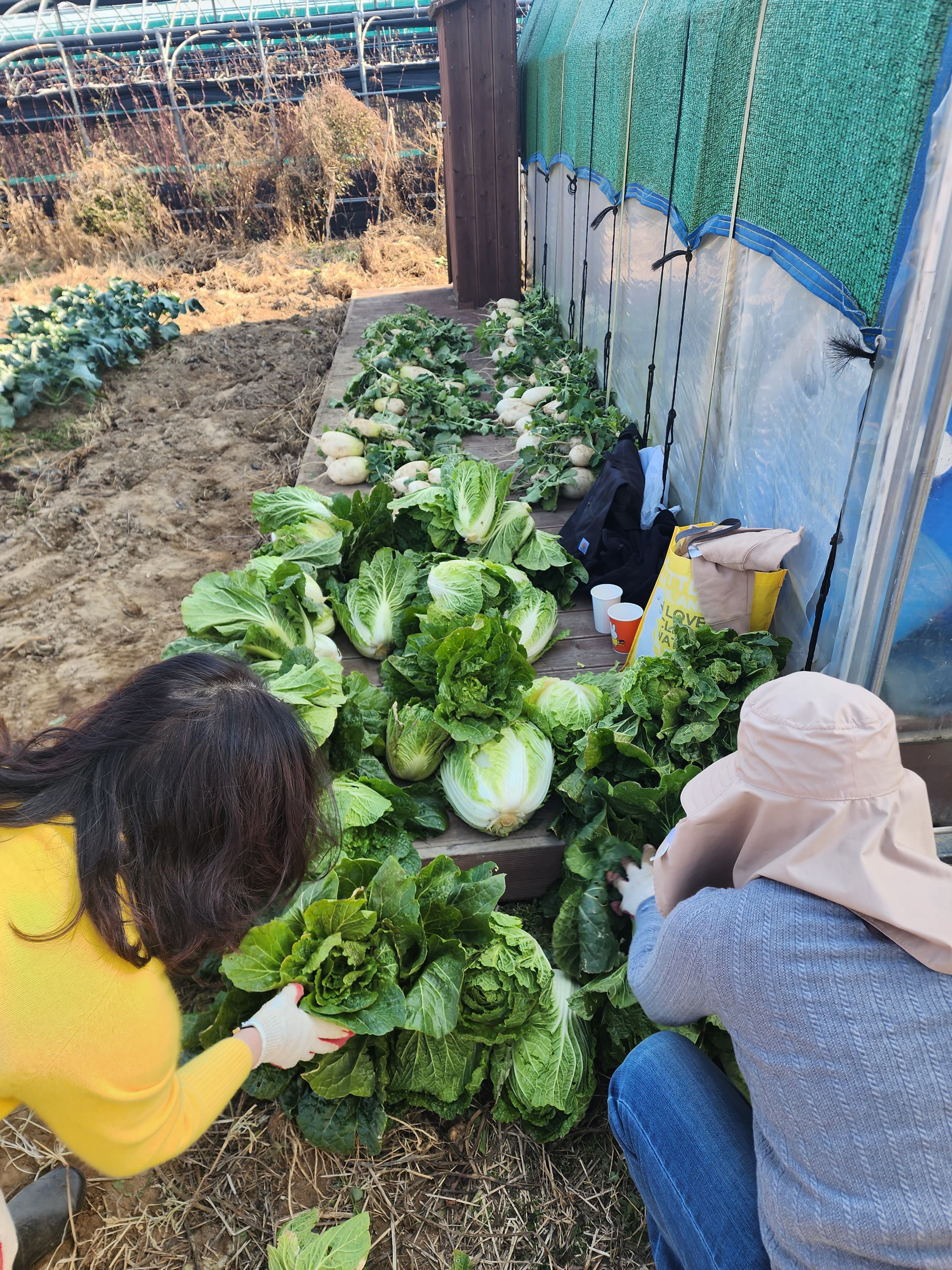 단체 활동 사진